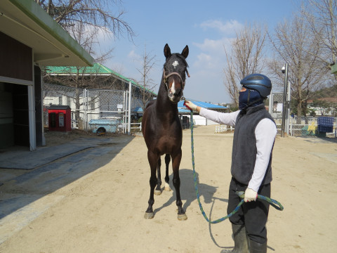 나르샤볼트 사진