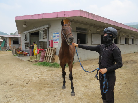 글로벌파로아 사진