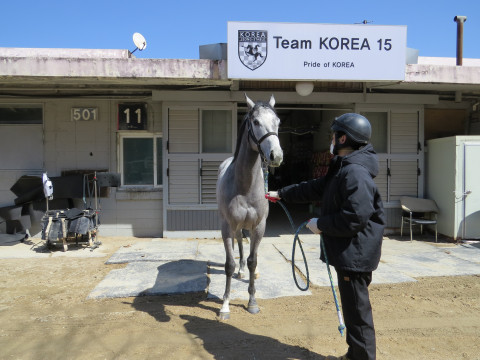 걸작루비 사진