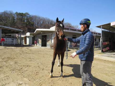 퀸즈임팩트 사진