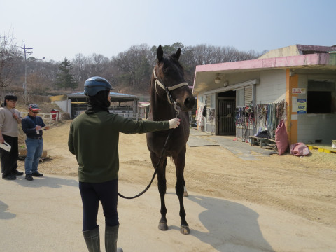 피오라노 사진