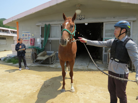 글로리삭스 사진
