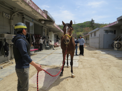 이클립스이글 사진