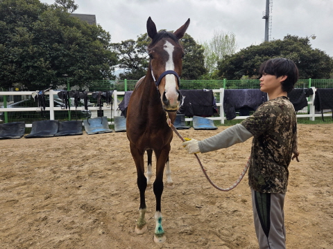 비케이타이칸 사진
