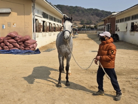 스톰프린스 사진