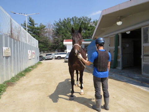 새로운비술 사진