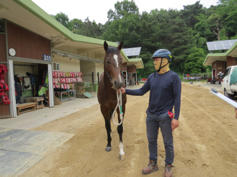 관악산스톰 사진