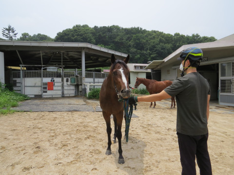 프라임크라운 사진