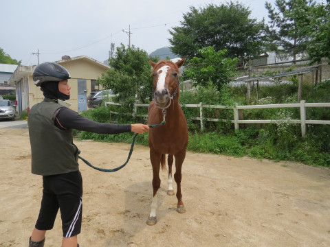 스톰크라운 사진
