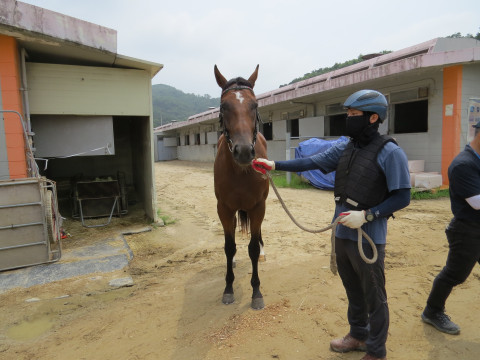 마이티네오 사진