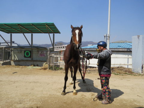 천마의함성 사진