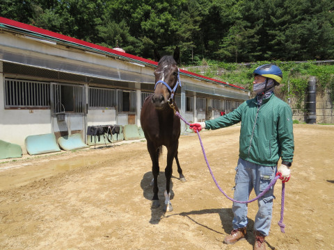 라온폴리스 사진