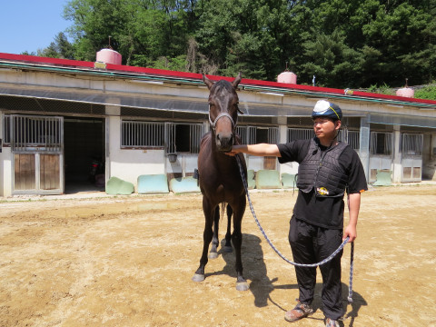 라온더칼 사진
