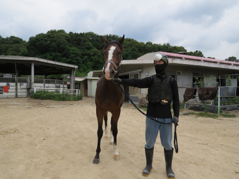 툰테자 사진