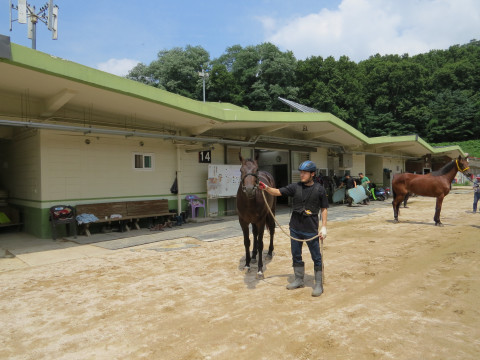 하이퍼엑스 사진