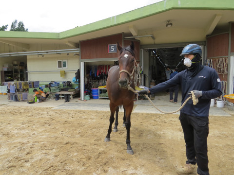 하이퍼선더 사진