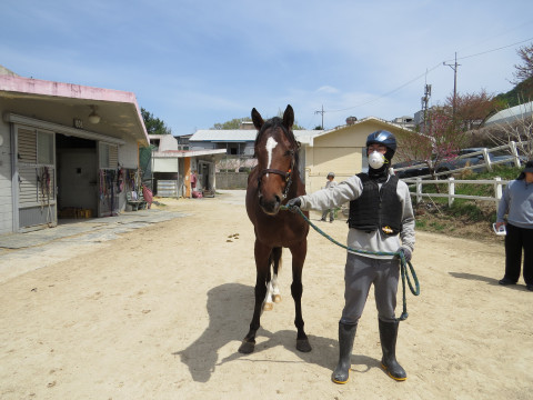 블레이즈맨 사진