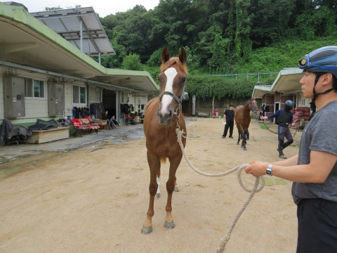 학산윈드 사진