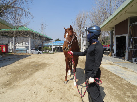 로드투챔피언 사진