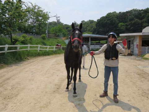 스테이빅 사진