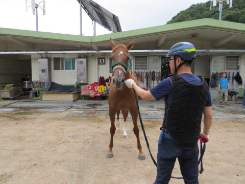카우보이퀸 사진