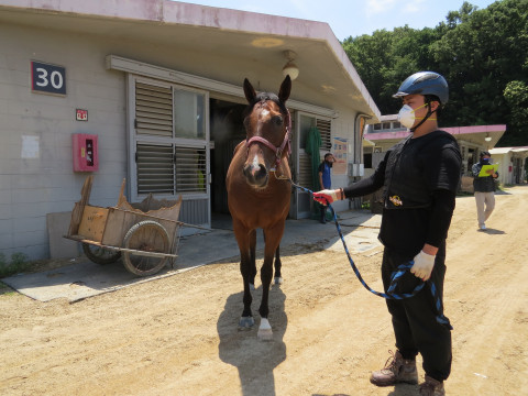 남산벨트 사진