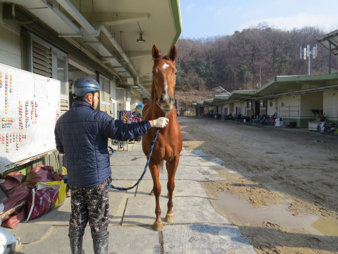 히든다이아 사진