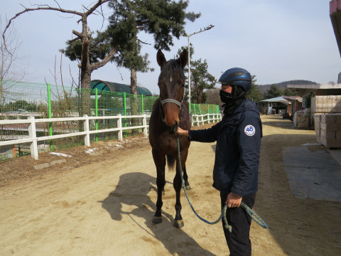 그랑파클래식 사진