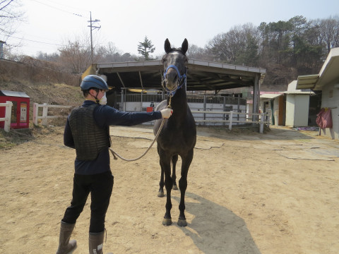 불타오르네 사진