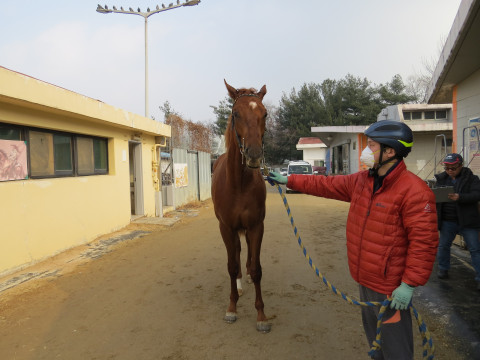 마이티세이버 사진