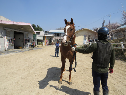 지비플래시 사진