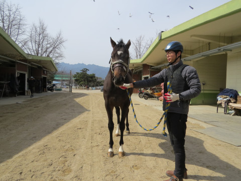 세종비상 사진