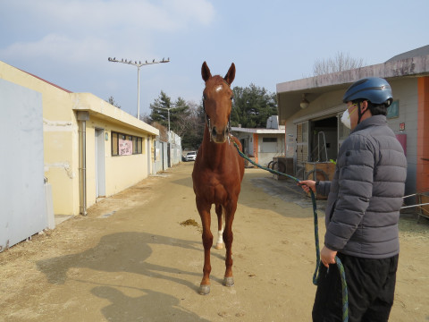 마이티허쉬 사진