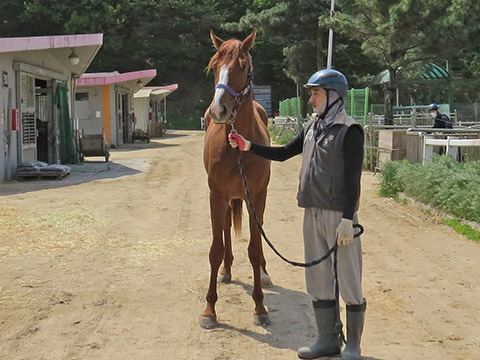 스페셜힐 사진