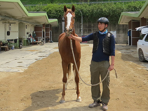 엑설런트마타 사진