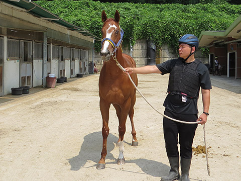 라온파라노마 사진