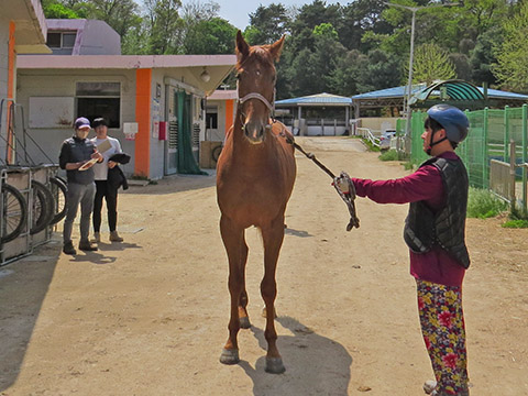 거센반격 사진