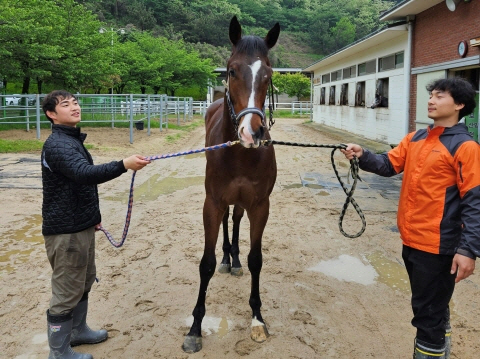 스타대로 사진