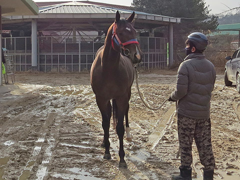 금빛파워 사진