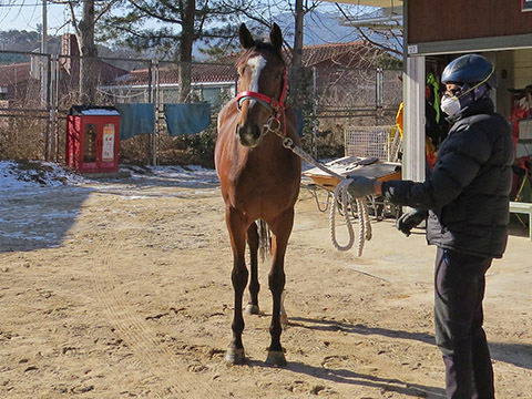 불국시대 사진