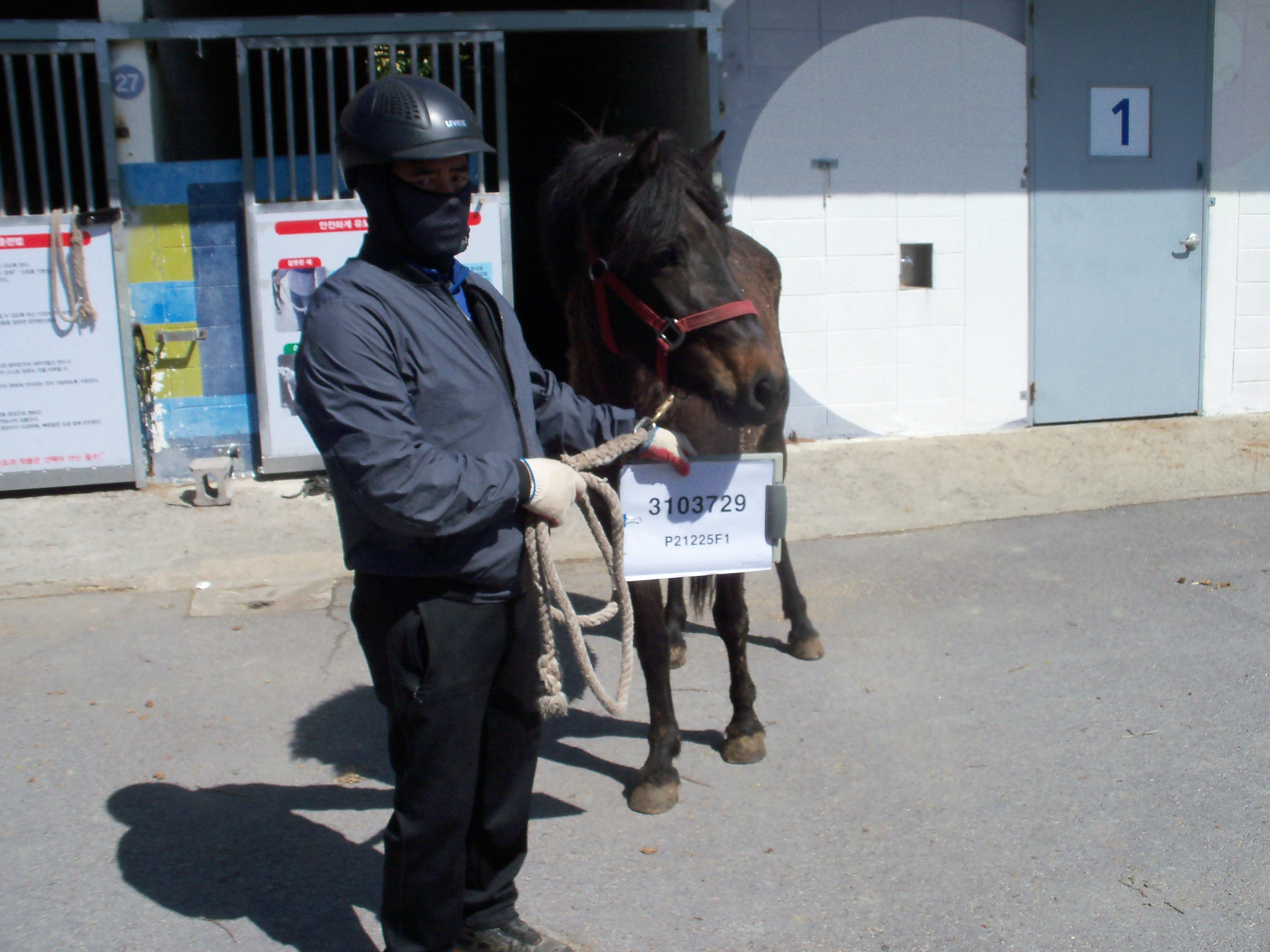 세련미 사진