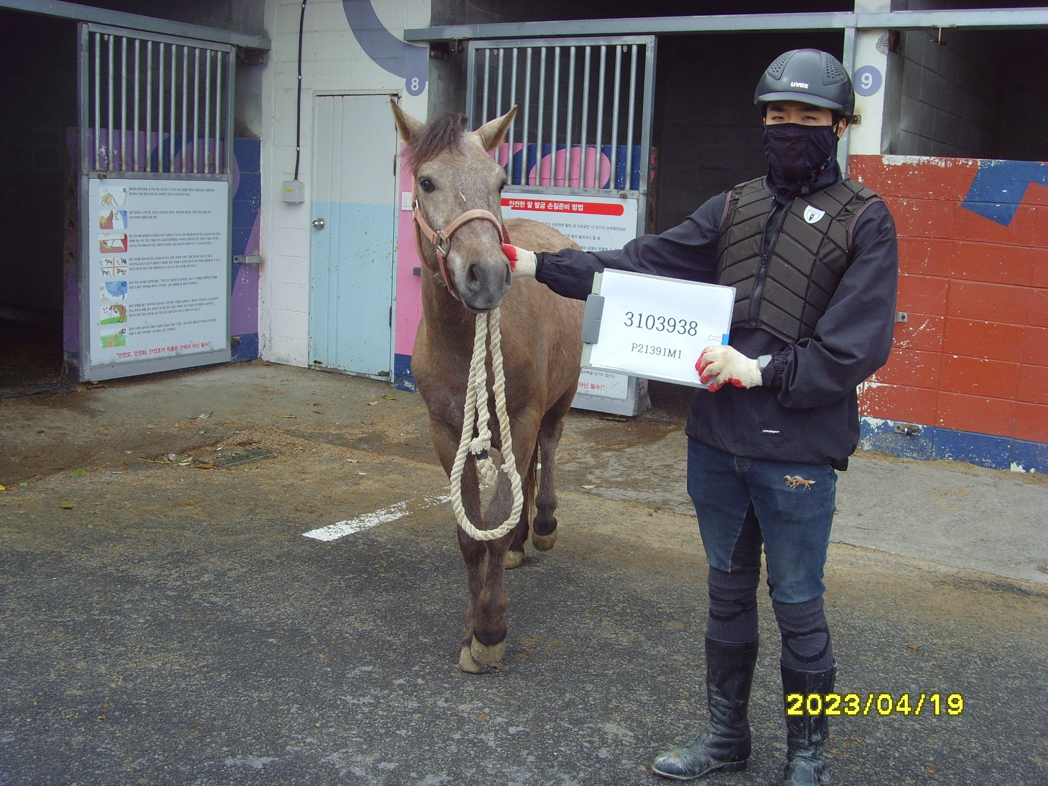 한라원탑 사진
