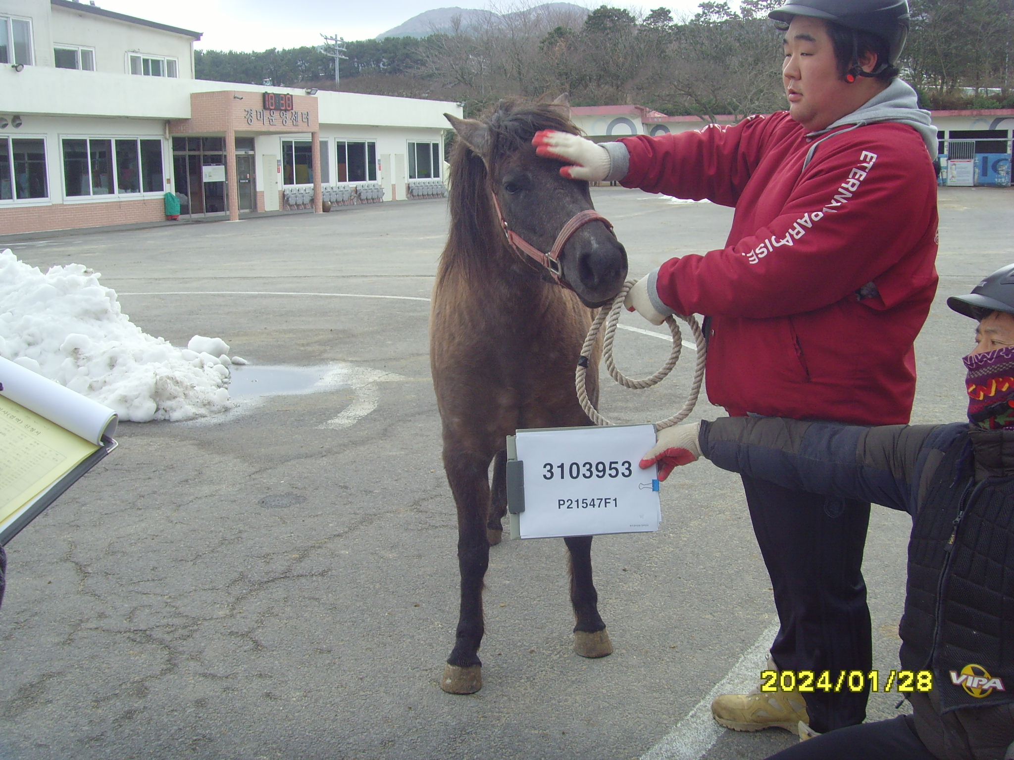 홍의여걸 사진