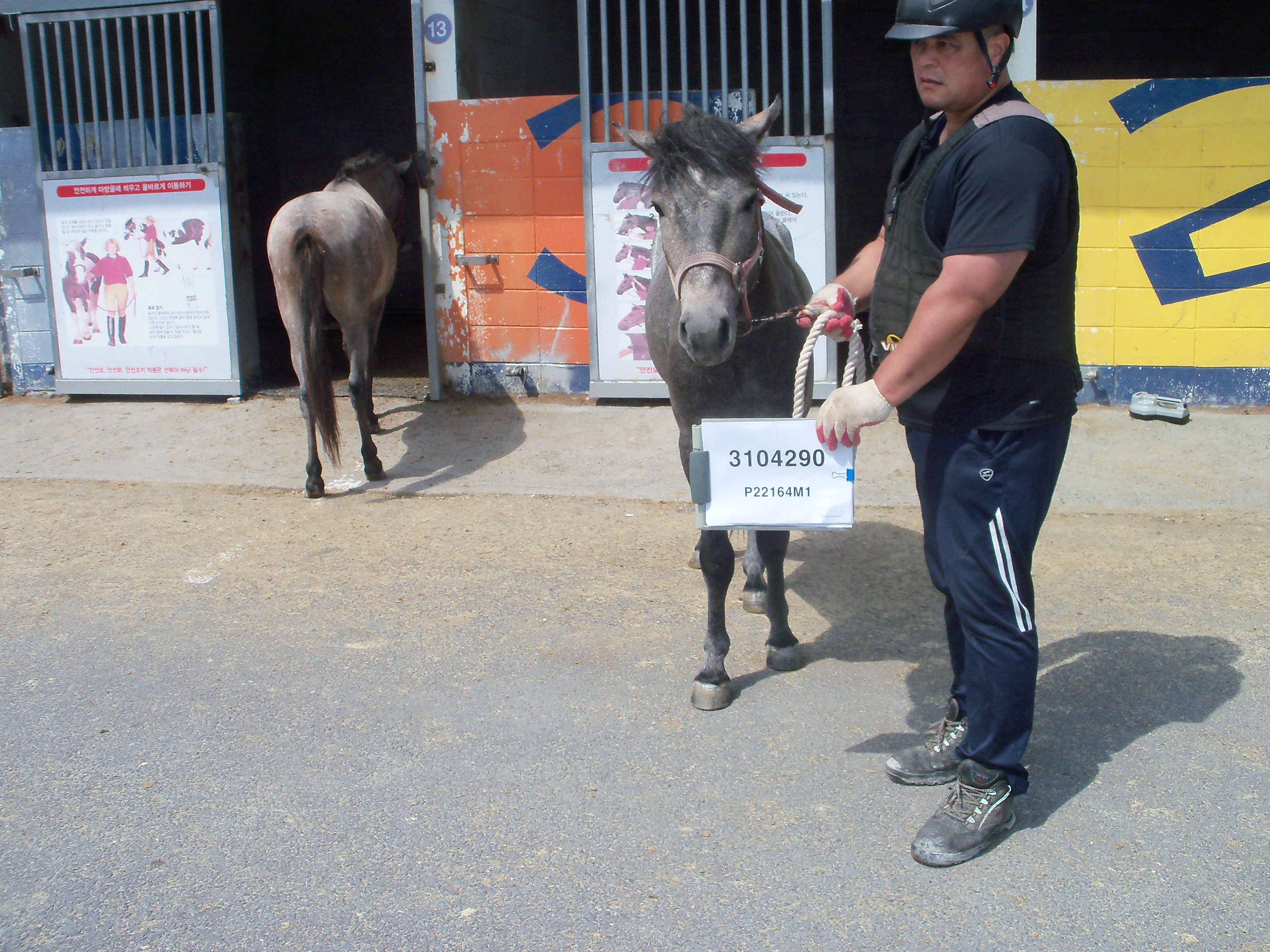 아크 사진