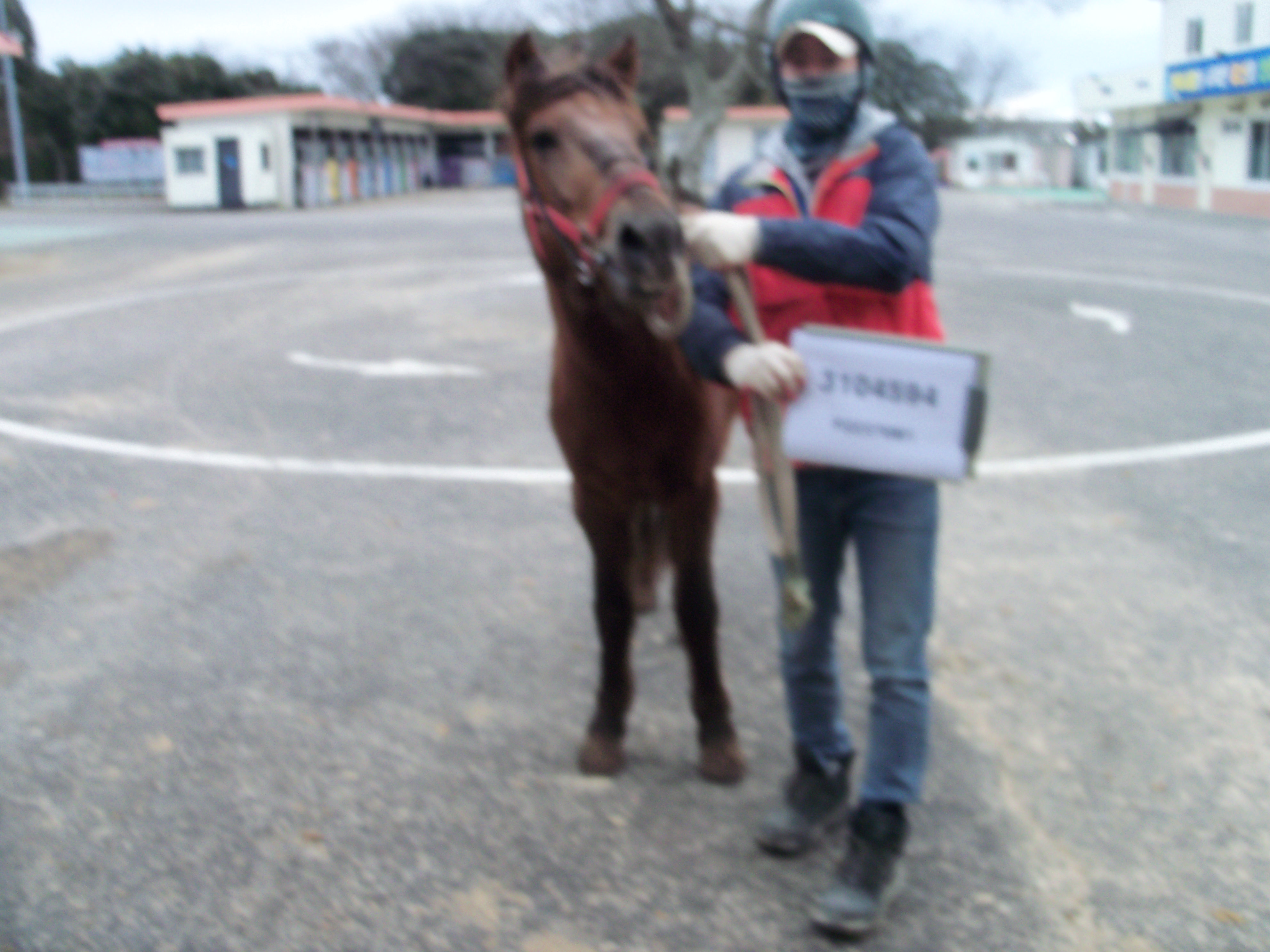 엉또왕자 사진