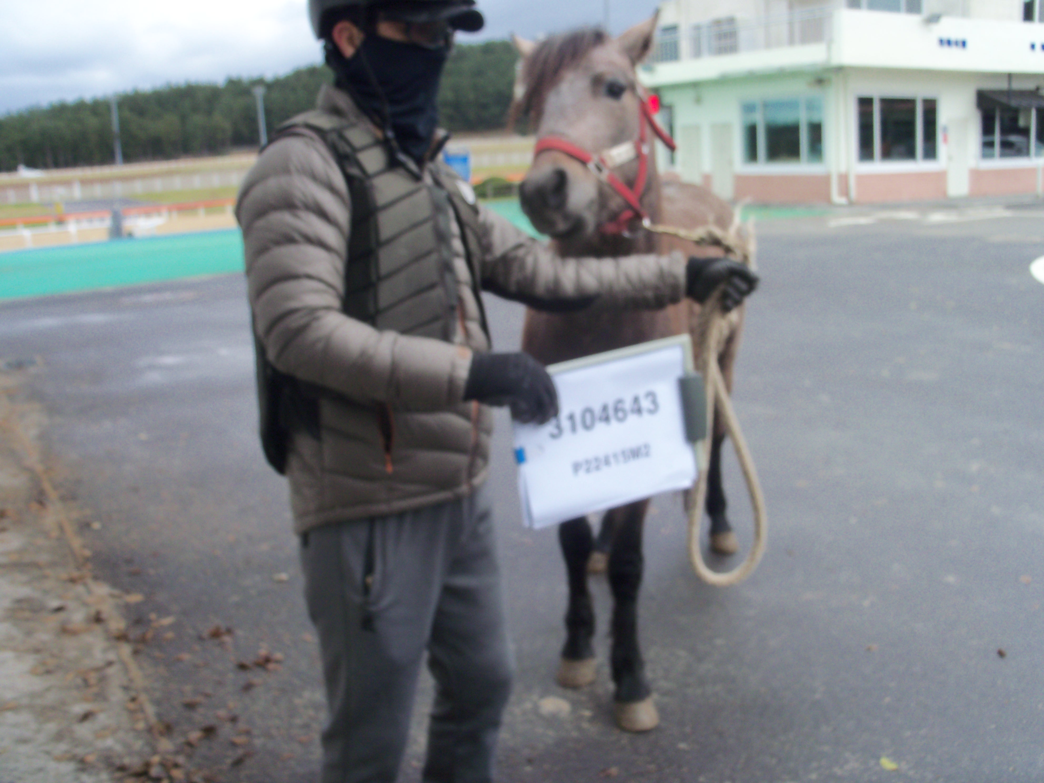 천년강자 사진