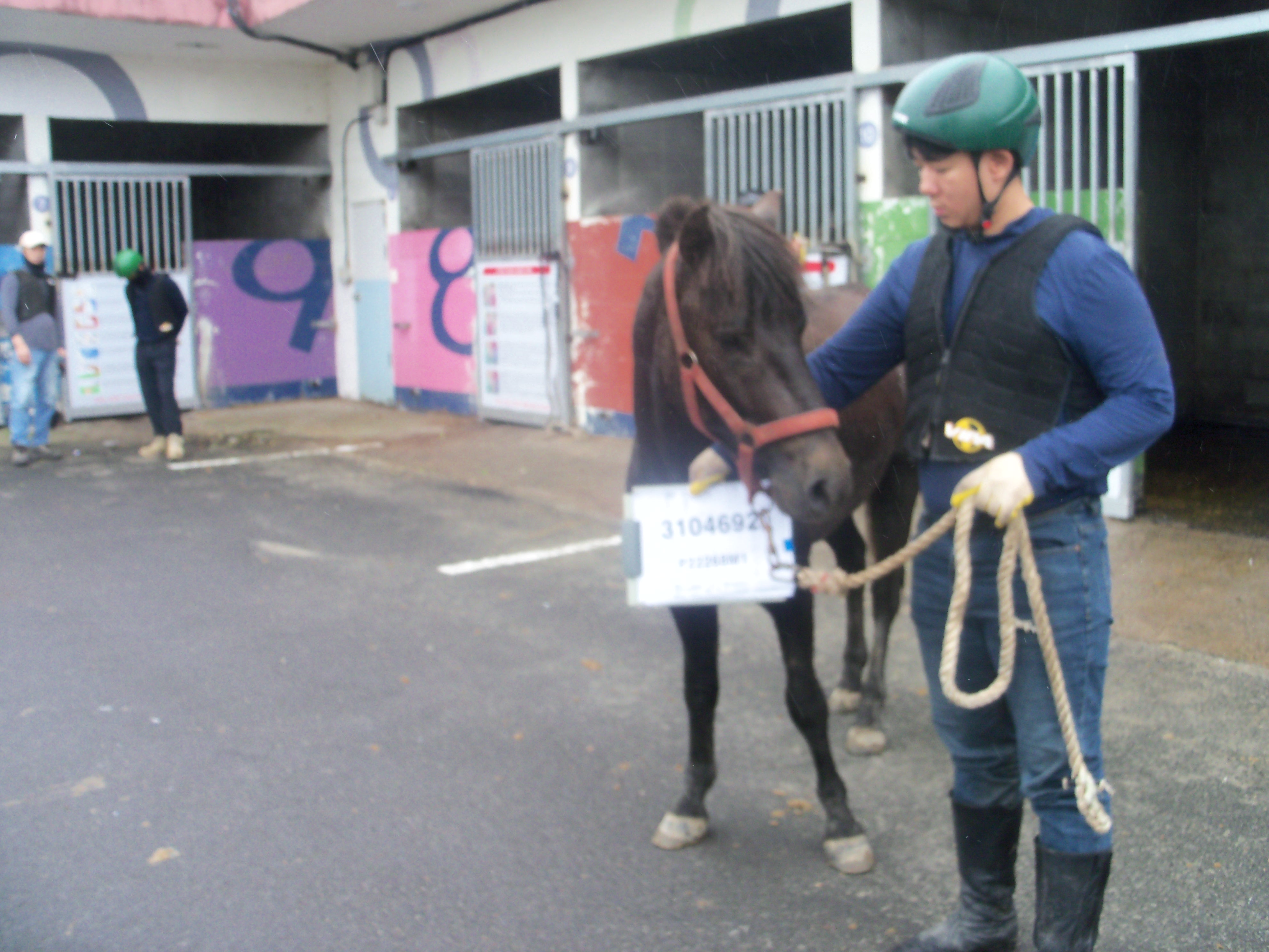 아그배 사진