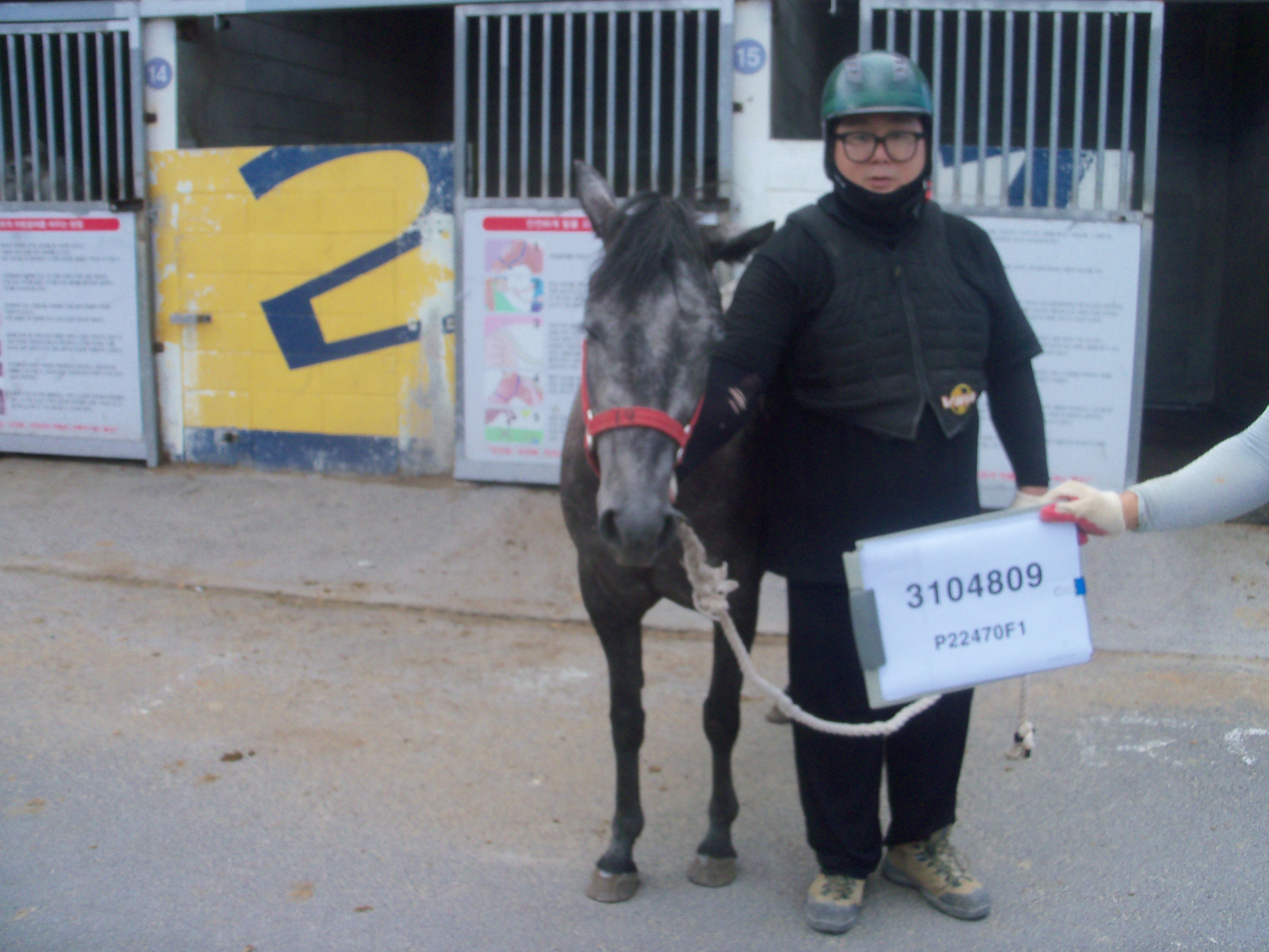 늘찬 사진