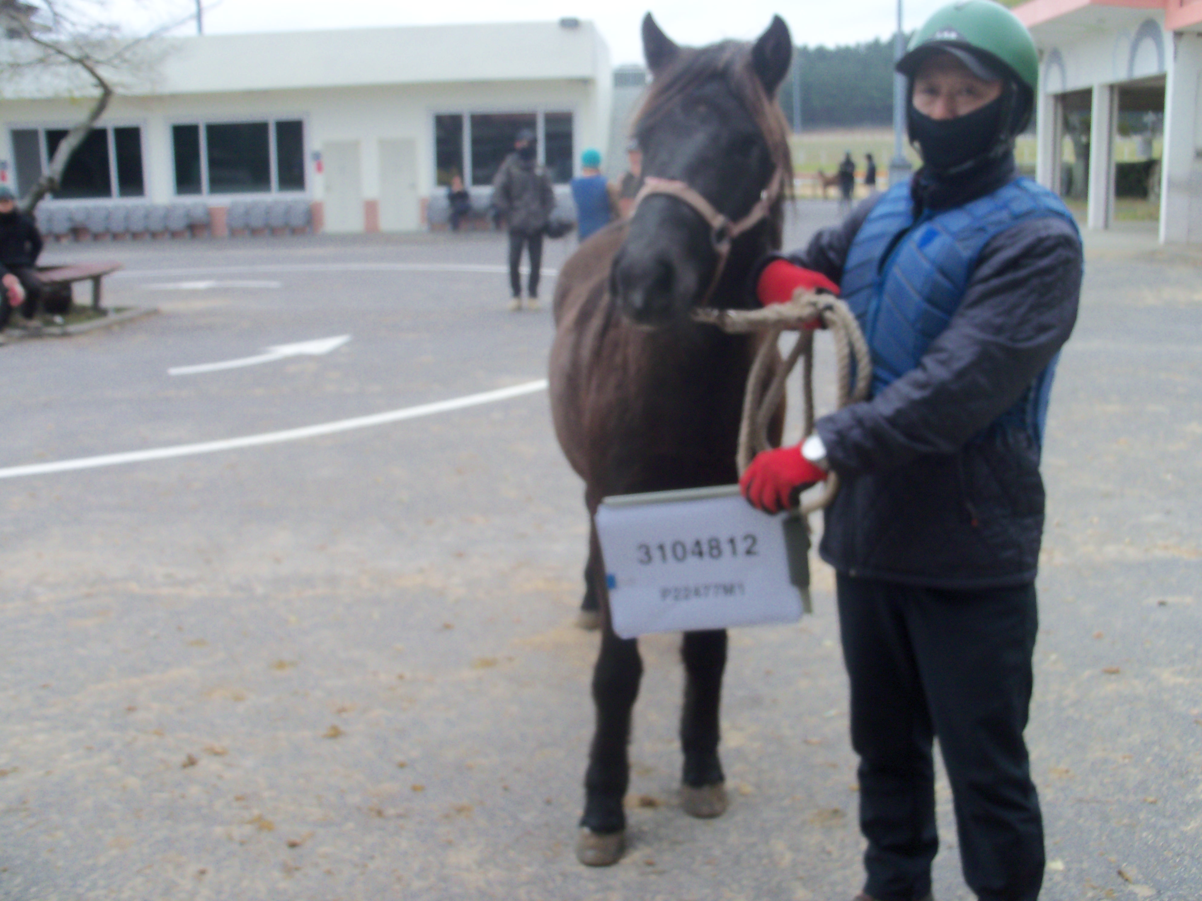 천상비룡 사진