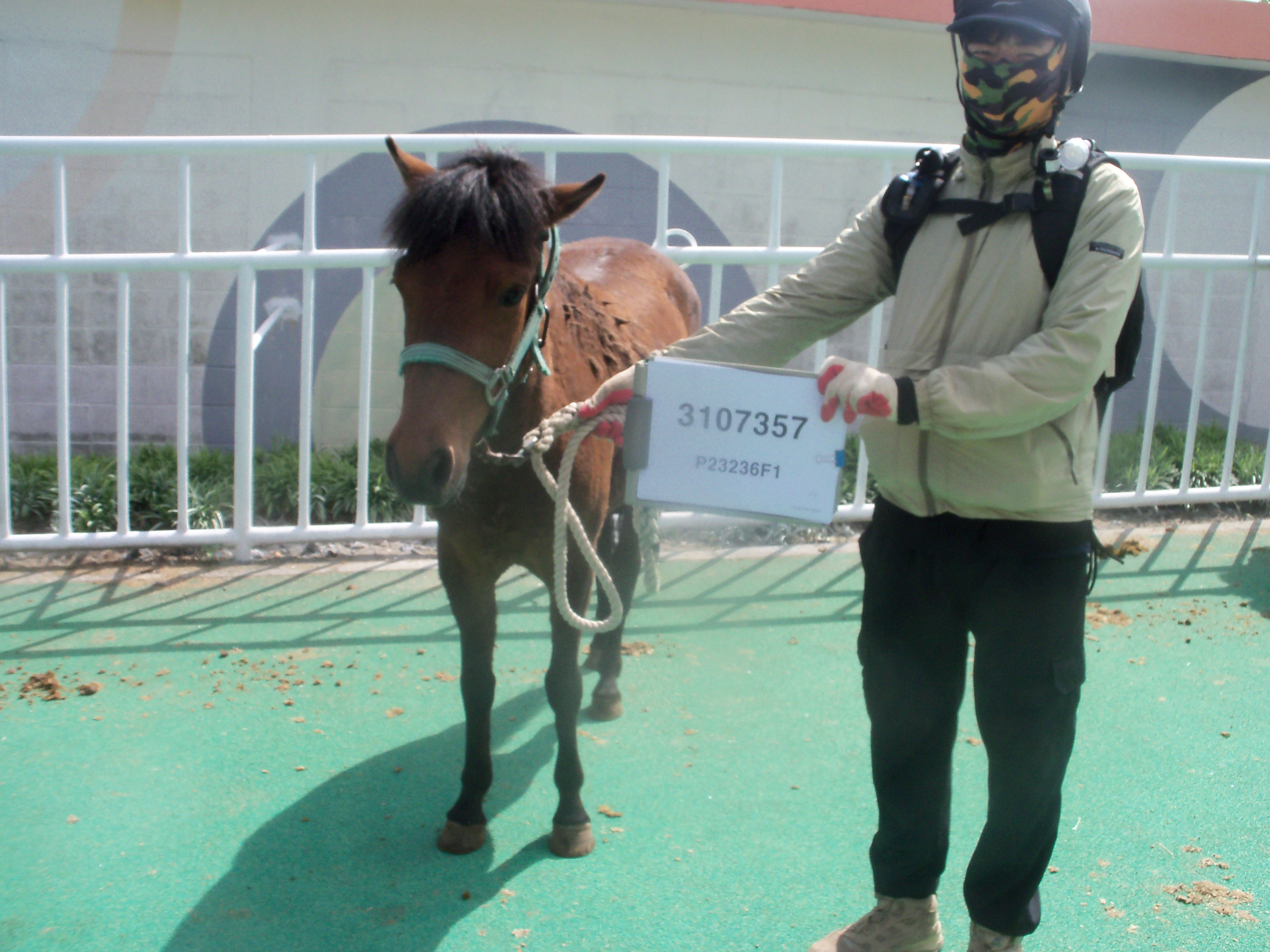 레드윙스 사진